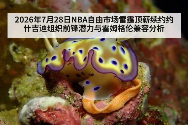 2026年7月28日NBA自由市场雷霆顶薪续约约什吉迪组织前锋潜力与霍姆格伦兼容分析